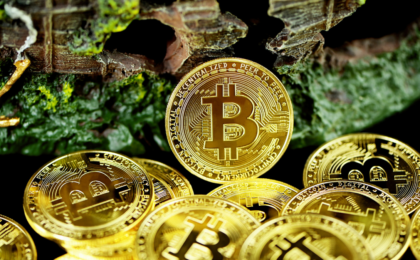 Bhutan Moves 519 Bitcoin to Multiple Wallets, Including QCP Capital Link