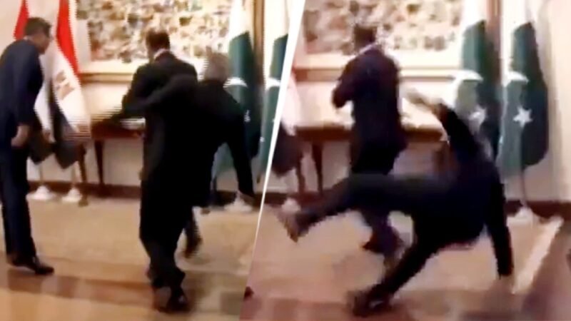 Watch: Pak FM Ishaq Dar trips at Islamabad event while greeting Egyptian counterpart