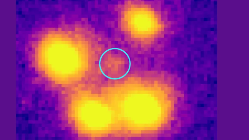 New Einstein Cross Reveals Surprising Galaxy Evolution