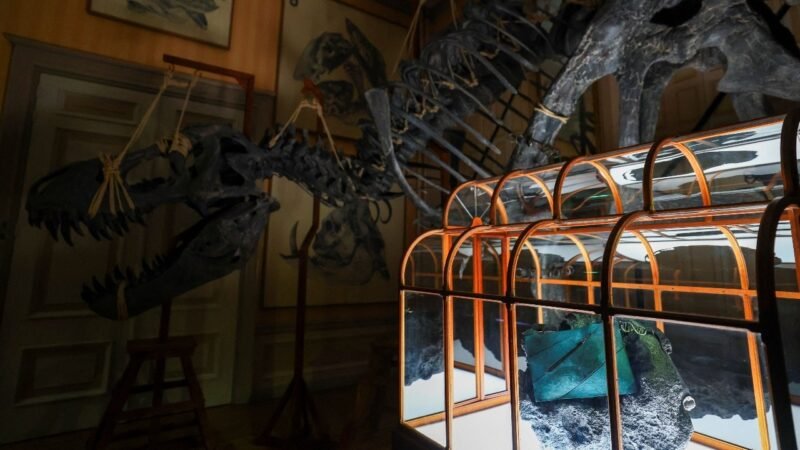 Does a luxury handbag made from dinosaur collagen interest you? It’s up for auction