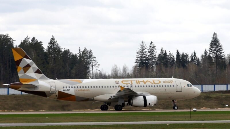 Abu Dhabi-bound Etihad flight with 280 passengers grounded in Chennai after fire on left wing