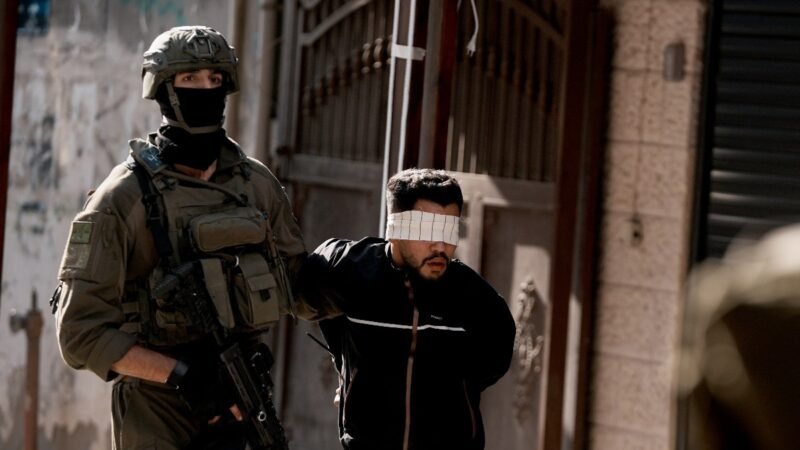 Can dogs penetrate humans? NYT op-ed on rape of Palestinians by IDF sparks outrage