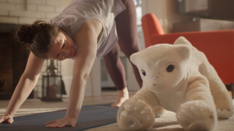 Roomba creator builds robot dog for pats and cuddles, uses AI to give it emotions