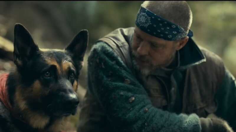 Heart Of The Beast trailer sees Brad Pitt stranded in Alaska after devastating crash