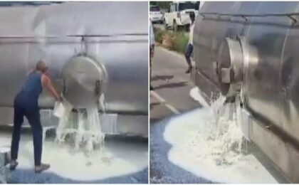 People rush in with buckets, bottles as milk tanker overturns on Delhi-Jaipur highway
