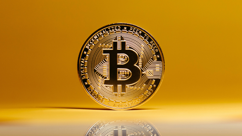 Bitcoin Holds Above $66,000 as Whale Buying, US Fed Rate Expectations Lift Sentiment