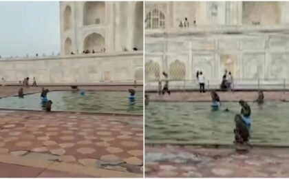Monkeys turn Taj Mahal water tank into their own swimming pool in Agra, video is viral