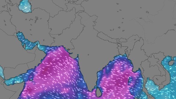 Monsoon arrived but India stayed dry: How 5 weather systems caused June’s rain deficit