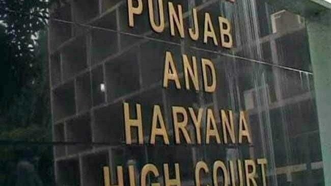 Brings bad name to family: High Court denies protection to run away live-in couple