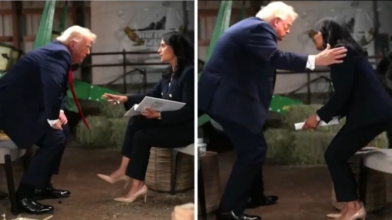 You’re crooked or stupid: Trump exits interview midway after ranting at journalist