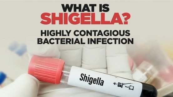 Kerala shigella scare: All you need to know about the contagious bacterial infection