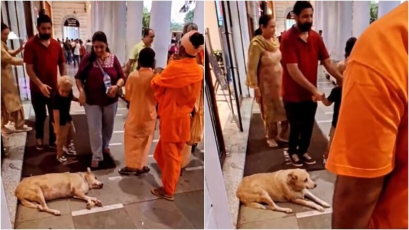Delhi boy throws stone at dog sleeping in CP. People noticed his parents’ reaction