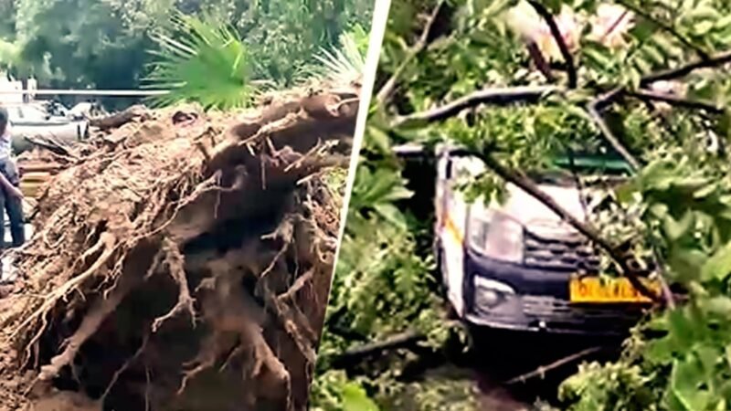 Video: Tree falls on car outside Delhi’s National Heart Institute, disrupts traffic