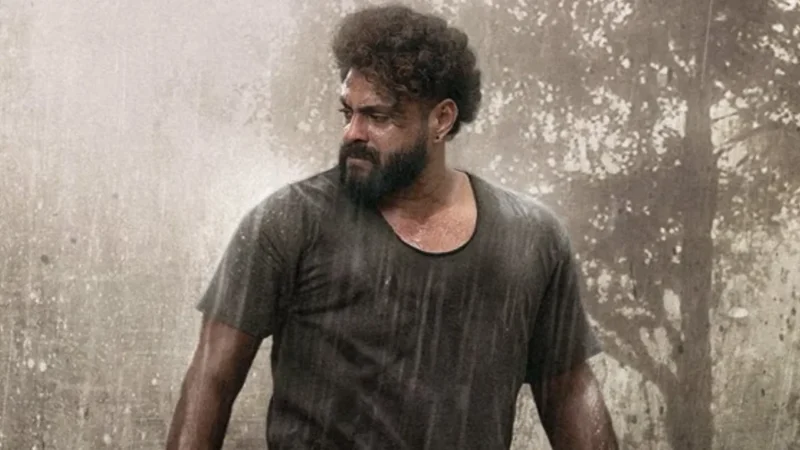 Kattalan OTT Release: When and where to watch Antony Varghese Pepe’s action thriller