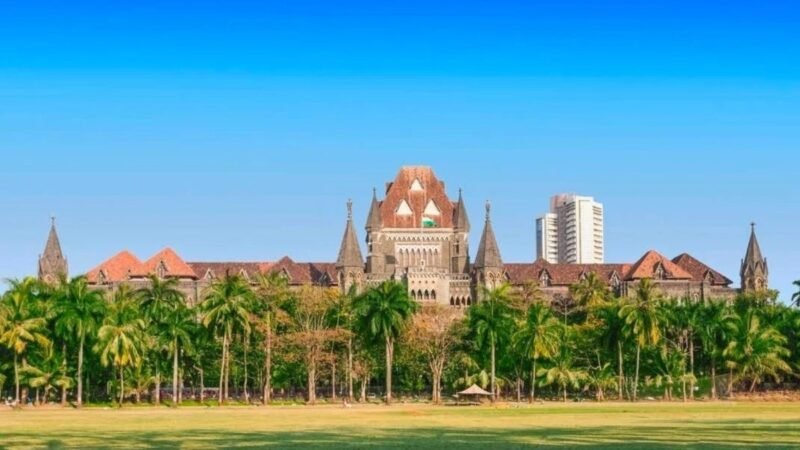 Price of liberty? Bombay HC questions why Indians litter here but stay clean abroad