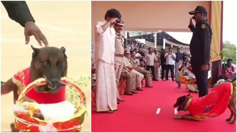 Sniffer dog ‘Rocky’ welcomes Tamil Nadu CM Vijay with flowers at police medal ceremony