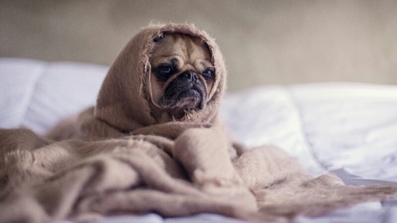 Psychology says some people keep expecting the worst even when life is going well because…
