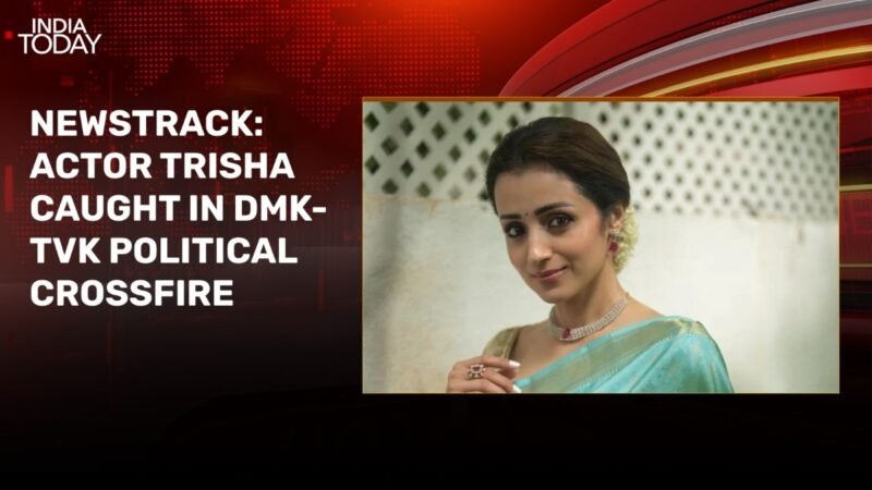 Udhayanidhi vs Vijay: Trisha caught in DMK-TVK political crossfire? Experts weigh in