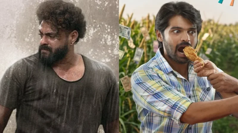 7 South OTT Releases to Watch This Week: Antony Varghese Pepe’s Kattalan to Mr Work From Home