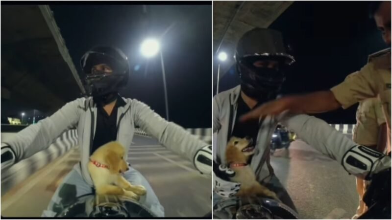 Bihar biker carries pet puppy in jacket, cop stops him but not for what you think